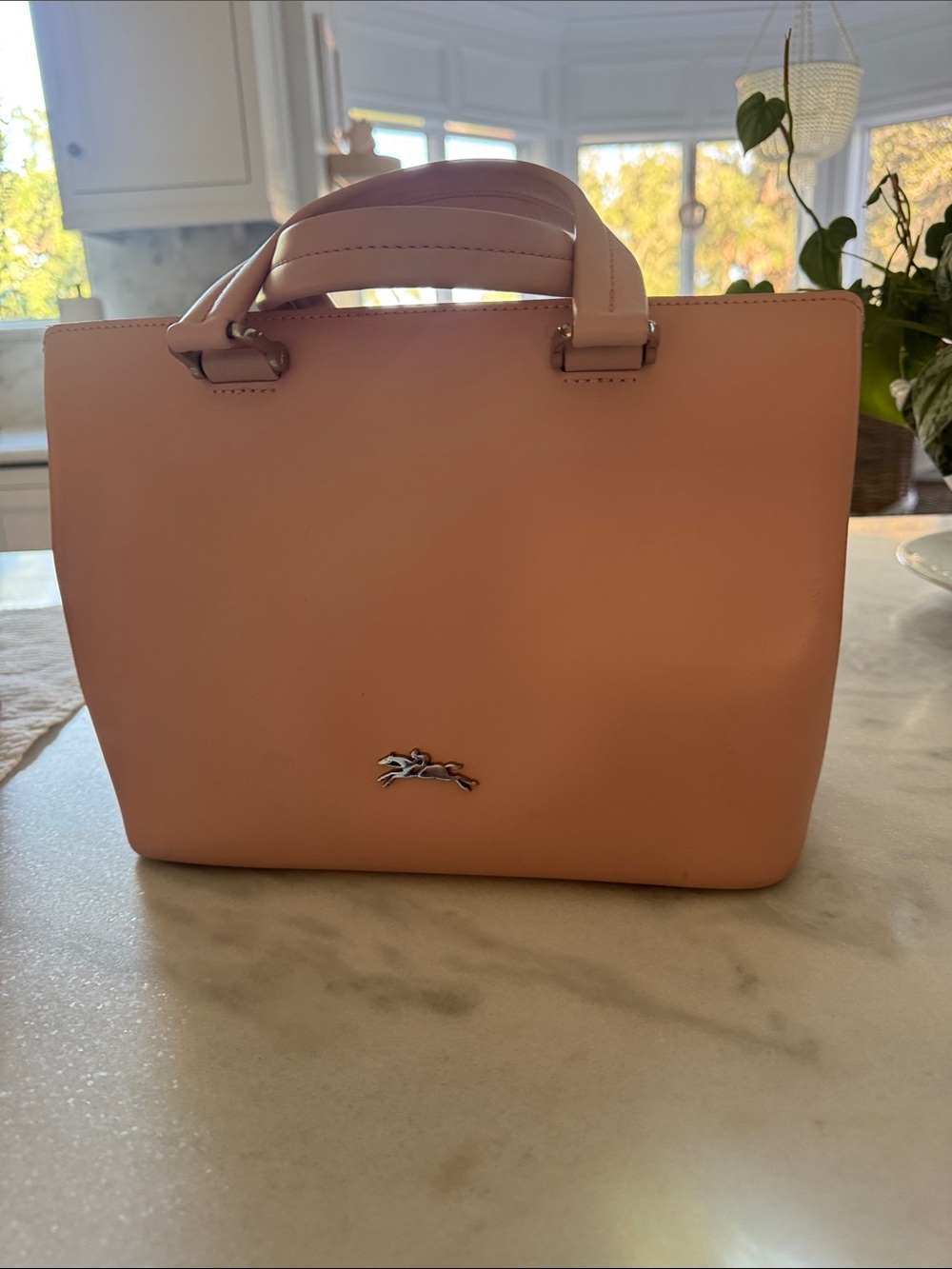 Longchamp Pink Leather Satchel with Top Handles